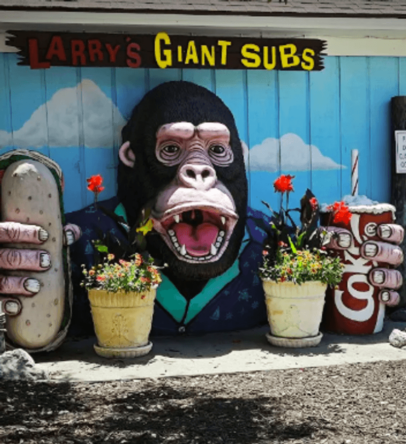 Food Options Inside the Park and the Bring-Your-Own Strategy