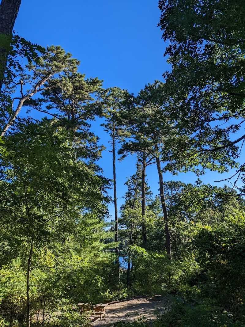 Forest Trails Built For Every Fitness Level Forest Trails Built For Every Fitness Level