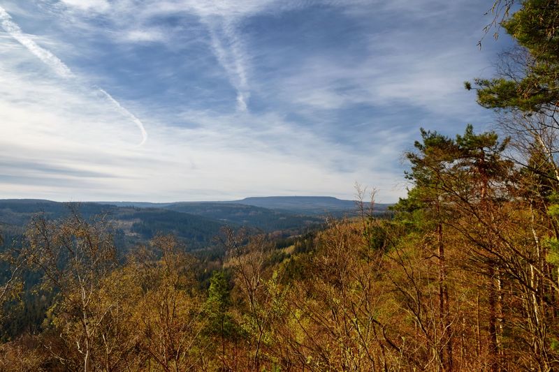 Forststeig Elbe Sandstone, Germany and Czech Republic