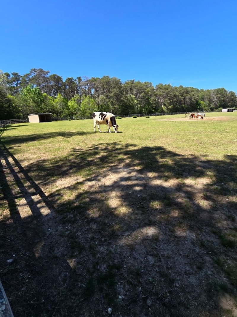 Forty Three Acres Built For Room To Roam