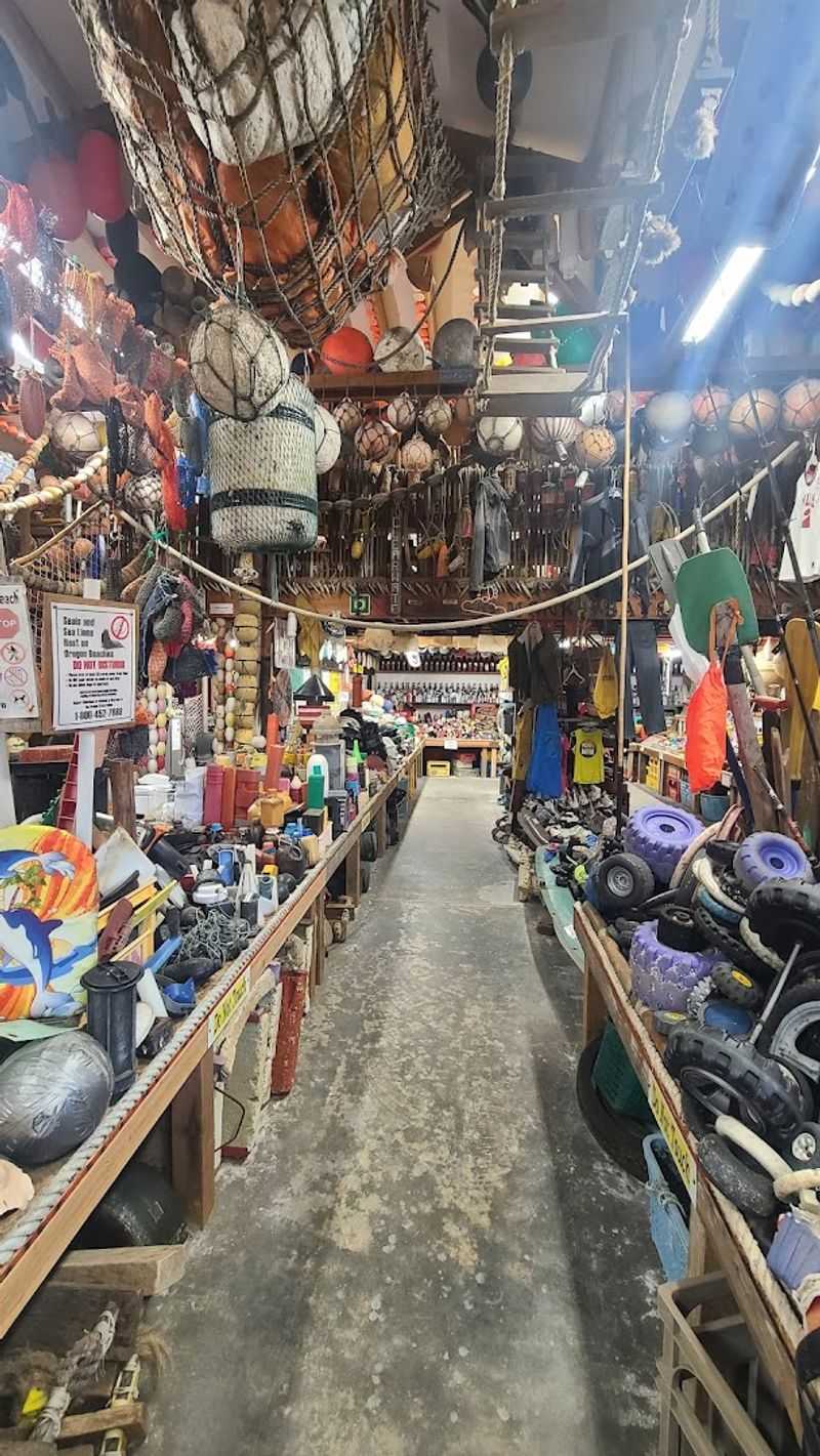 Forty Years Of Collecting Packed Into One Building Forty Years Of Collecting Packed Into One Building