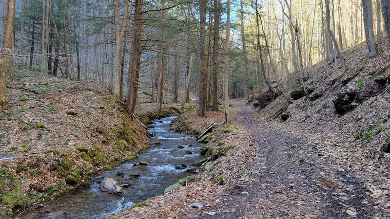 Fourteen Miles of Trails Covering Every Ability Level