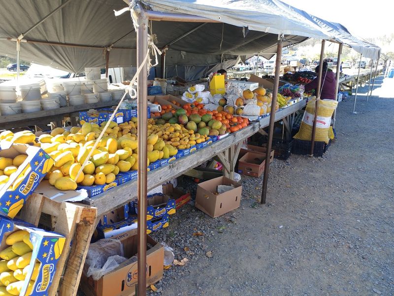 Fresh Fruits And Vegetables That Steal The Show Fresh Fruits And Vegetables That Steal The Show