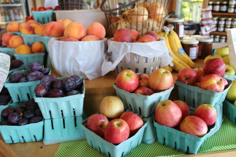 Fresh-Picked Summer Produce That Celebrates the Season Fresh-Picked Summer Produce That Celebrates the Season