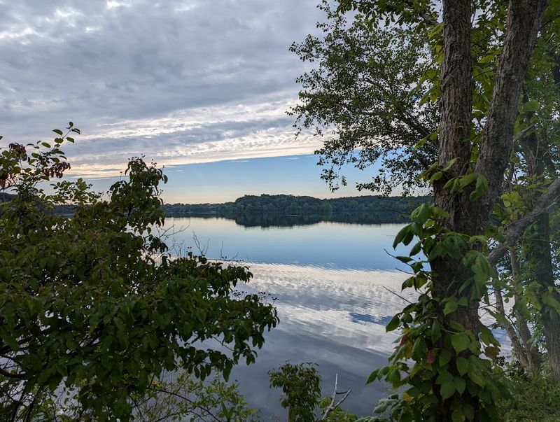 Fresh Pond Reservation: Wildlife and Quiet Just Minutes from Harvard Fresh Pond Reservation: Wildlife and Quiet Just Minutes from Harvard