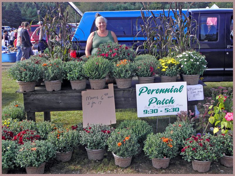 Fresh Produce and Plants Among the Vendor Tables