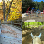From Private Estate to Public Escape, This Massachusetts Park Spans 721 Acres