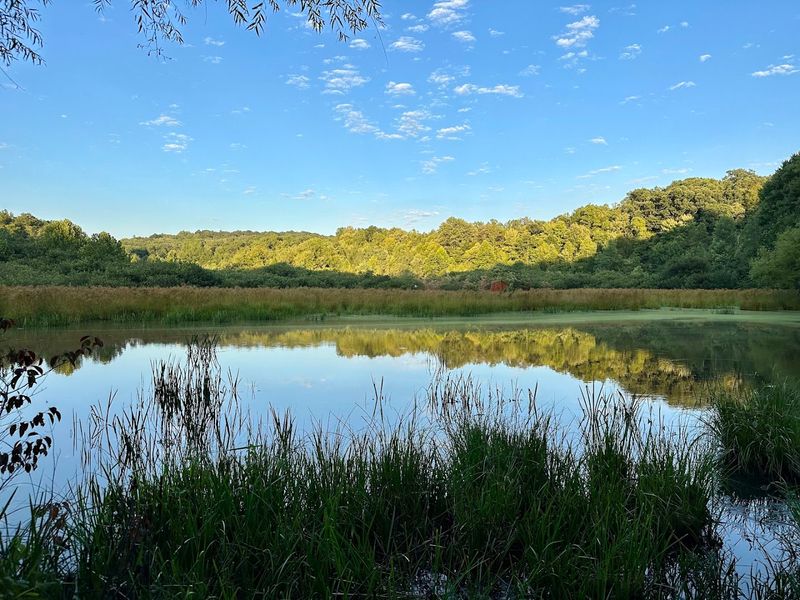 From Reservoir to Refuge: The Remarkable Origin Story