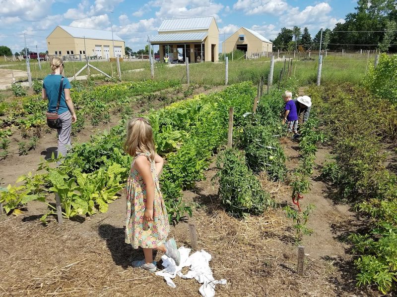 Gardens That Change With Every Season