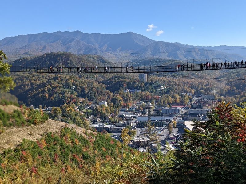 Gatlinburg SkyLift Park and the Bridge Above the Trees