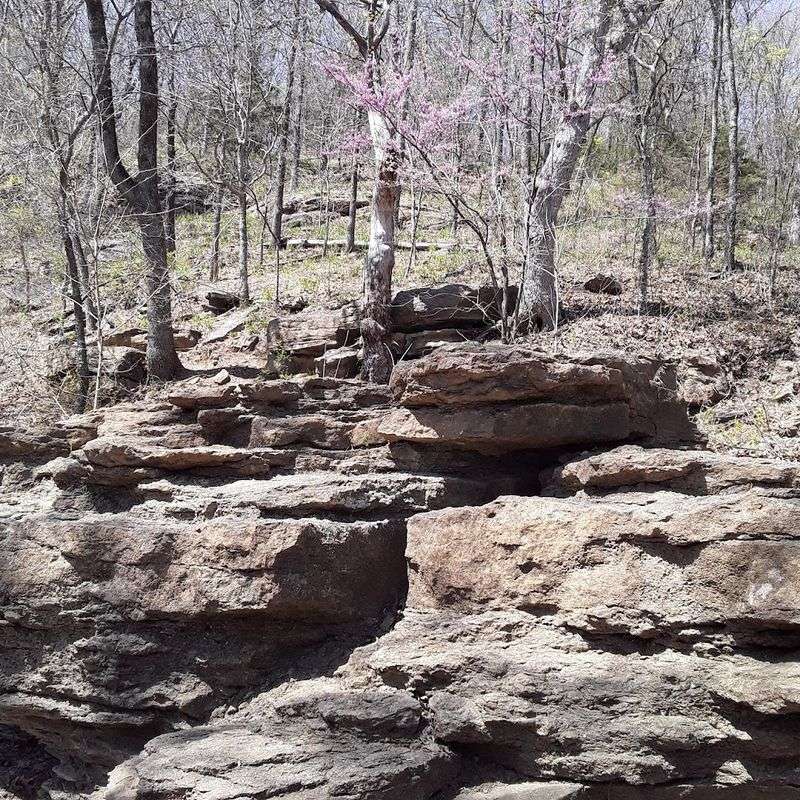 Gear Essentials for a Rocky, Root-Covered Trail