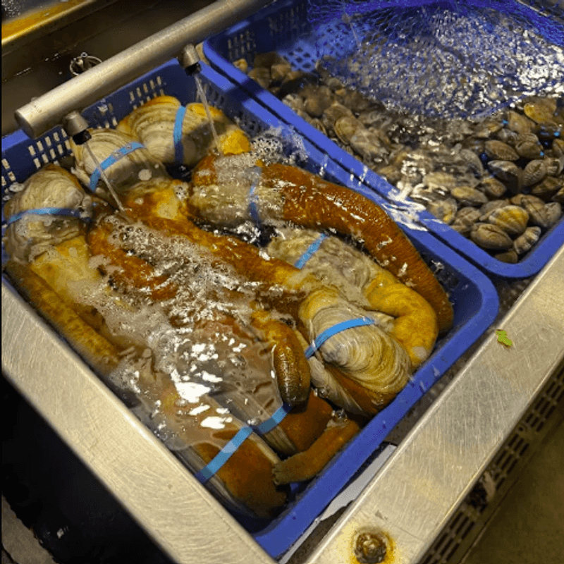 Geoduck: Washington's Most Unusual Shellfish