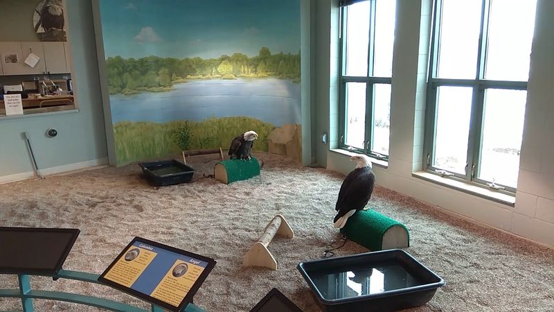 Getting Behind the Scenes With a Special Tour