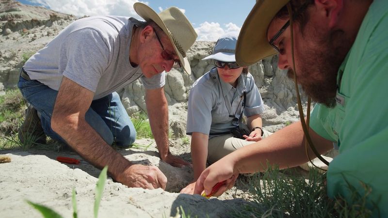 Getting Your Hands Dirty at a Real Fossil Dig Getting Your Hands Dirty at a Real Fossil Dig