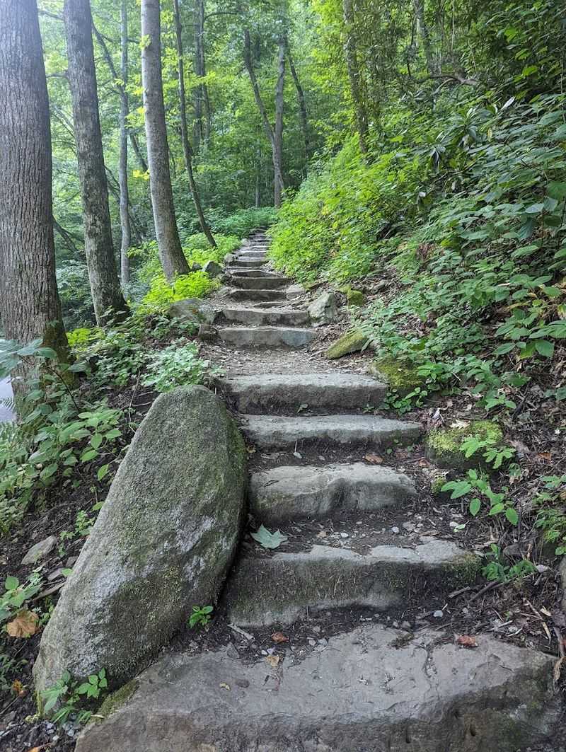Getting to the Top of the Falls