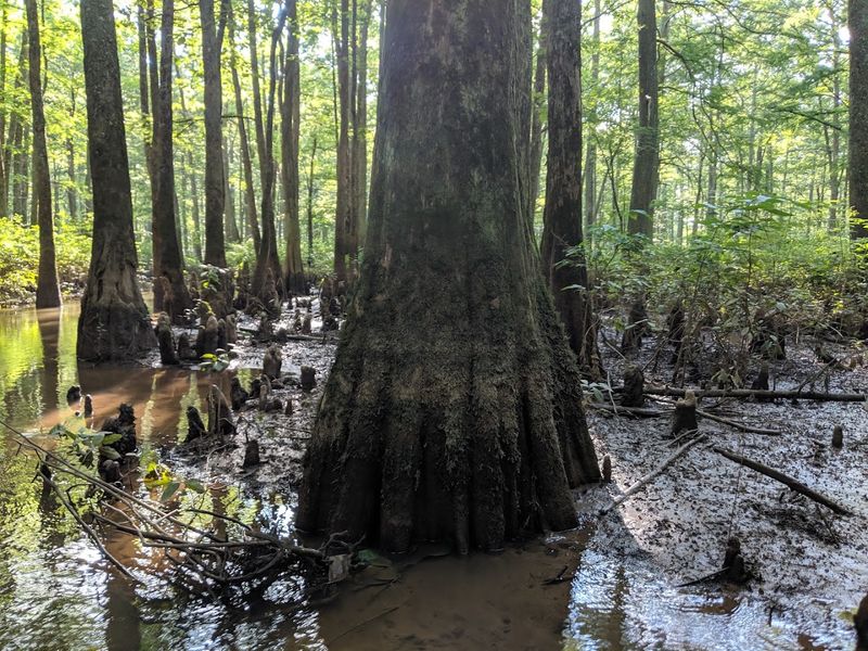 Ghost River State Natural Area, La Grange, Tennessee Ghost River State Natural Area, La Grange, Tennessee