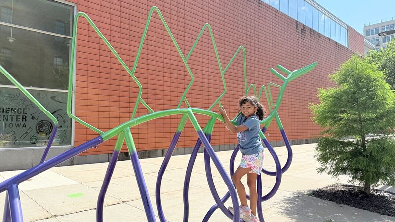 Girls' Science Day and Special Events