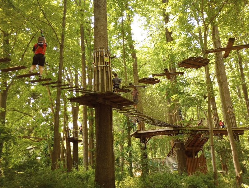 Go Ape Zipline and Adventure Park: Thrills Above the Treetops Go Ape Zipline and Adventure Park: Thrills Above the Treetops