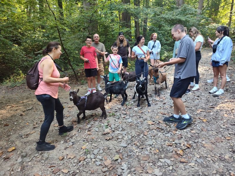 Goat Hiking Takes the Adventure Beyond the Farm Gates Goat Hiking Takes the Adventure Beyond the Farm Gates