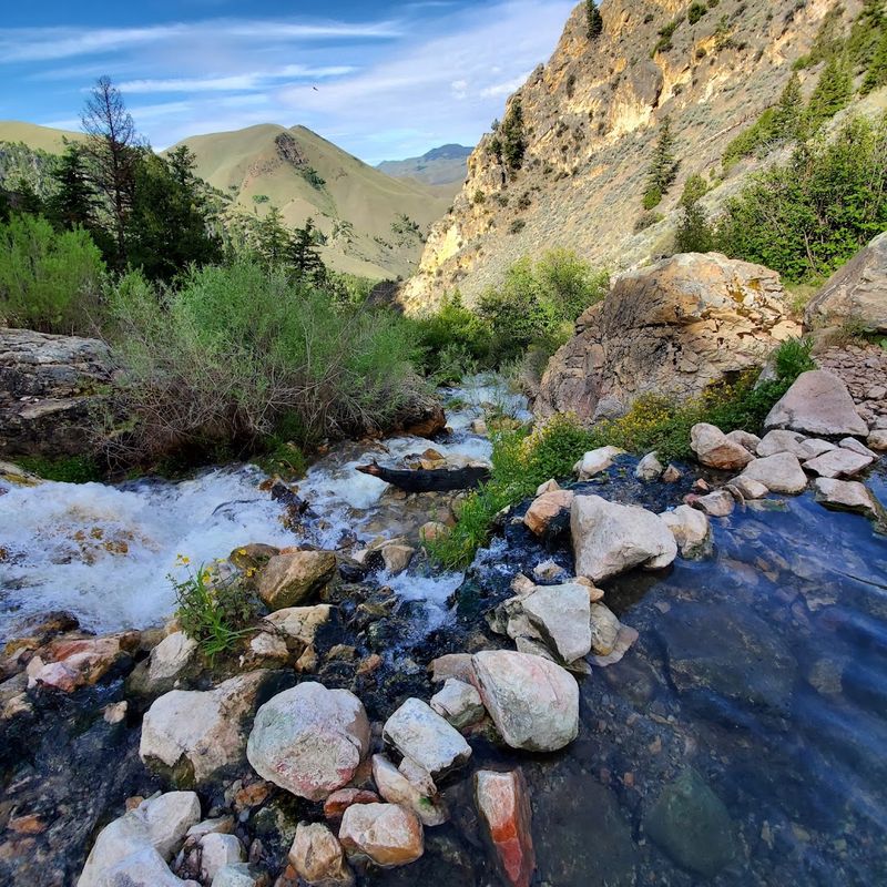 Goldbug Hot Springs, Elk Bend, Idaho Goldbug Hot Springs, Elk Bend, Idaho