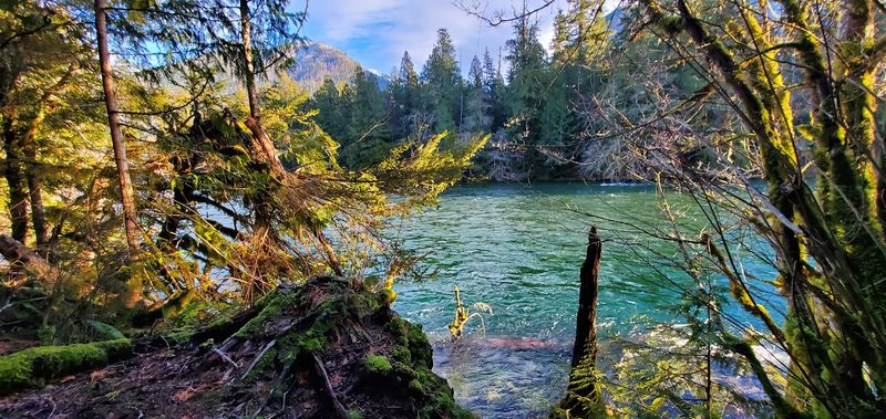 Goodell Creek Campground, Newhalem, Washington Goodell Creek Campground, Newhalem, Washington