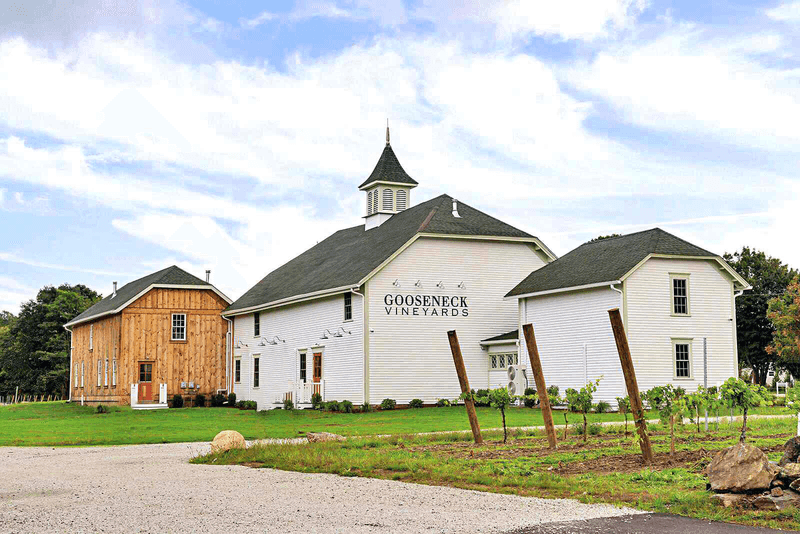 Gooseneck Vineyards, North Kingstown