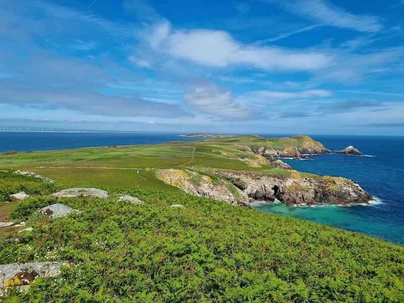 Great Saltee Island, Kilmore Quay, County Wexford, Ireland