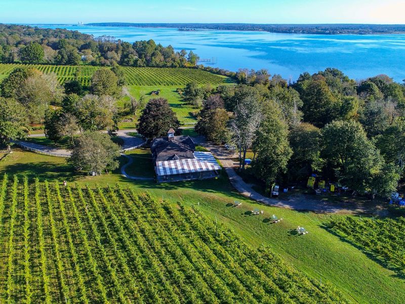 Greenvale Vineyards, Portsmouth