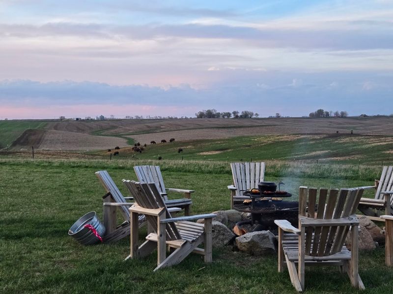Grilling Bison Under an Iowa Sky