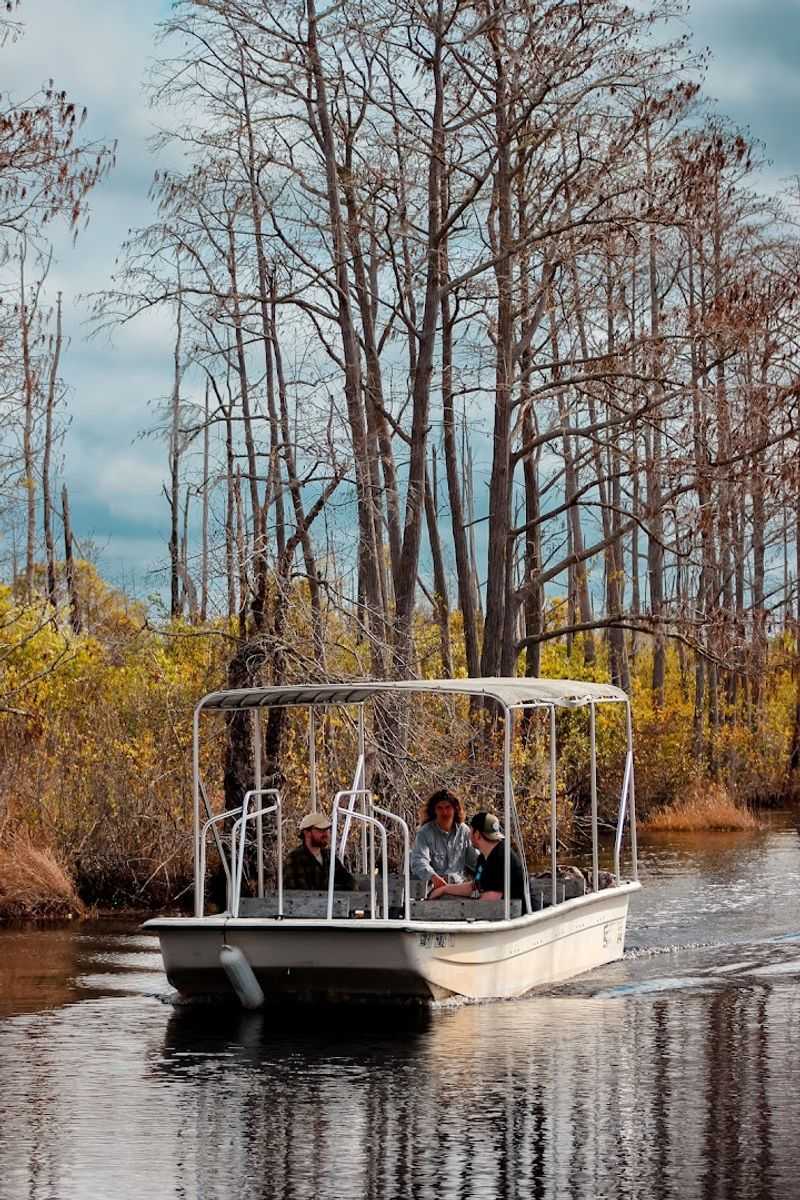 Guided Boat Tours That Actually Teach You Something Guided Boat Tours That Actually Teach You Something