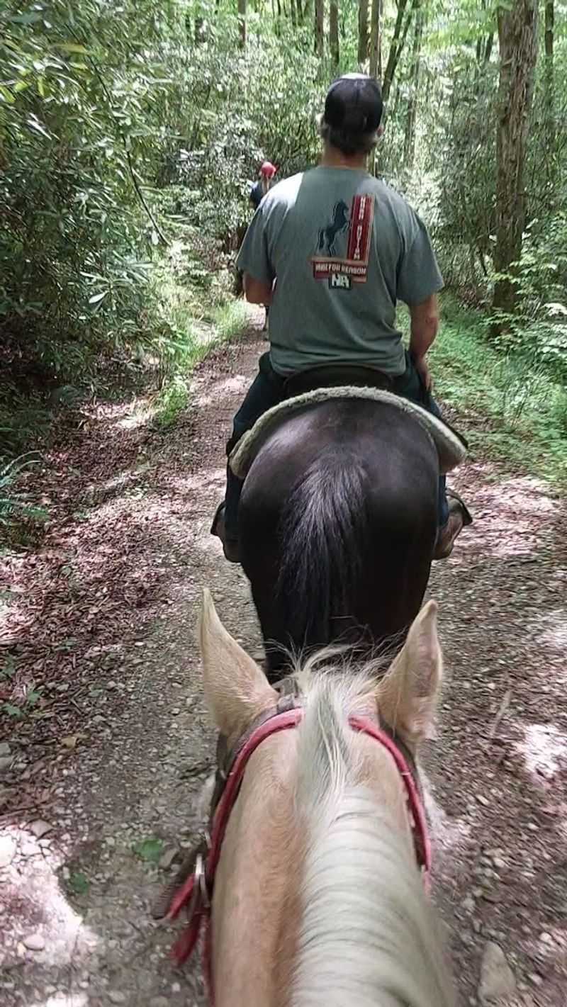 Guides Who Know Every Bend in the Trail Guides Who Know Every Bend in the Trail