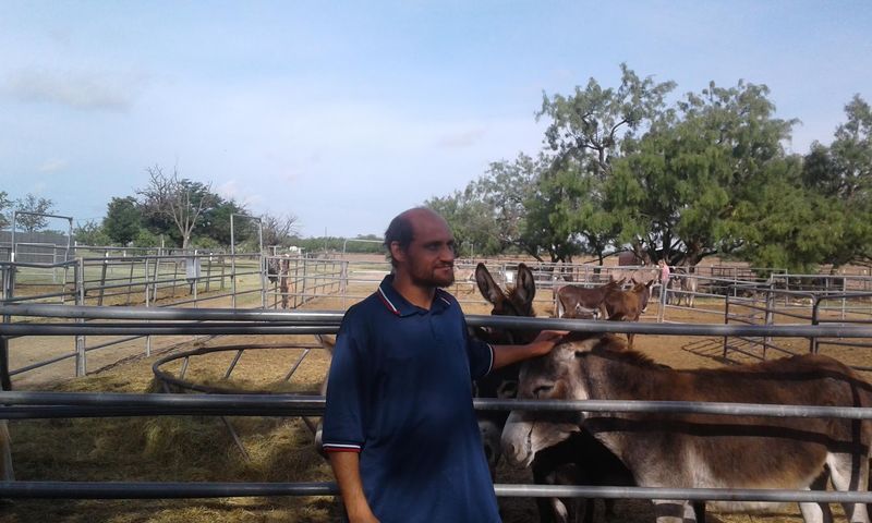 Guides Who Truly Know Their Donkeys