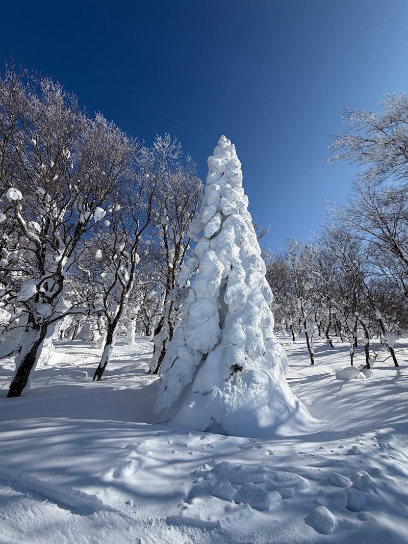 Hakkoda Mountains, Aomori, Aomori Prefecture Hakkoda Mountains, Aomori, Aomori Prefecture