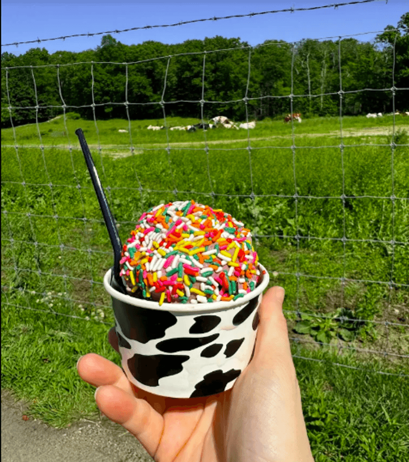 Handcrafted Ice Cream Worth the Drive