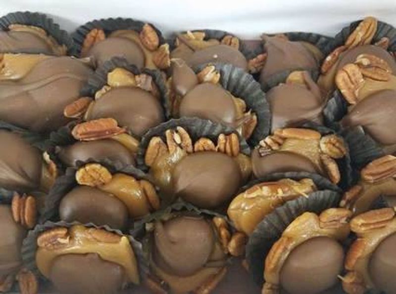 Handmade Turtles That People Send as Gifts Across the World