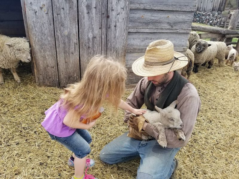 Hands-On Farm Chores for Kids and Adults