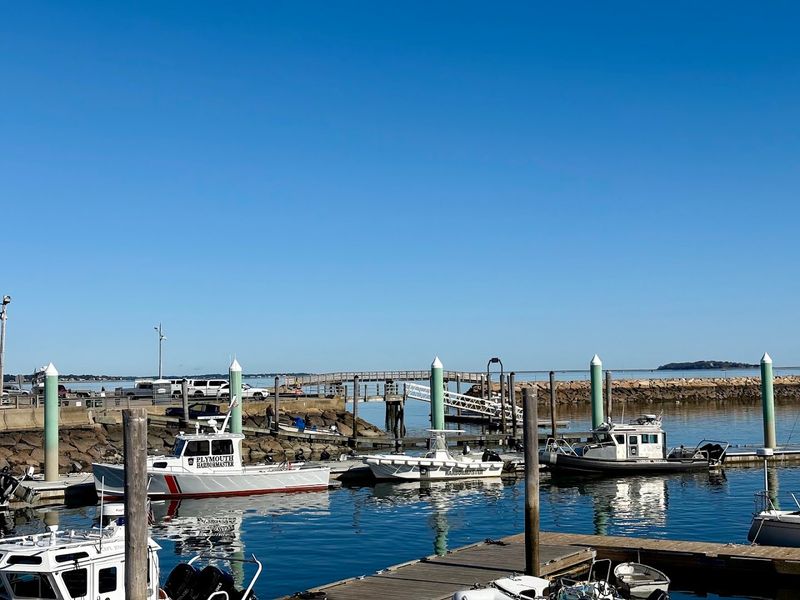 Harbor Views That Come Standard With Every Meal Harbor Views That Come Standard With Every Meal