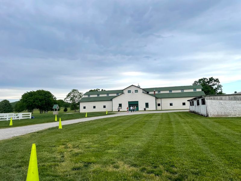 Harlinsdale Farm Reveals Franklin's Tennessee Walking Horse Legacy Harlinsdale Farm Reveals Franklin's Tennessee Walking Horse Legacy