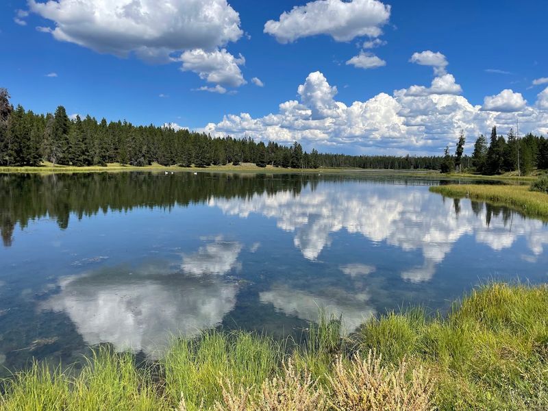 Harriman State Park, Island Park, Idaho Harriman State Park, Island Park, Idaho