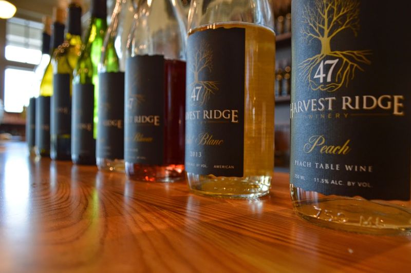 Harvest Ridge Winery, Marydel, Delaware