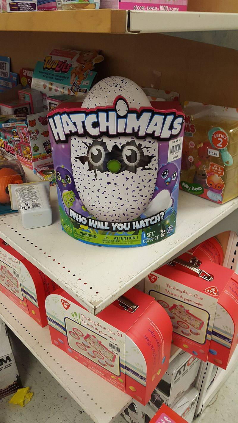 Hatchimals Hatchimals
