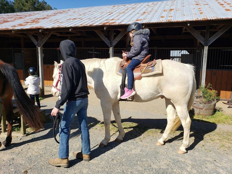Hayrides, Pony Rides, and Trail Rides Across the Property