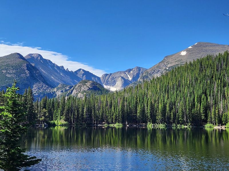 Hear The Elk Rut At Rocky Mountain National Park, Colorado