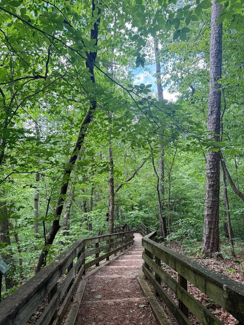 Hemlock Bluffs Nature Preserve Boardwalk — Cary Hemlock Bluffs Nature Preserve Boardwalk — Cary