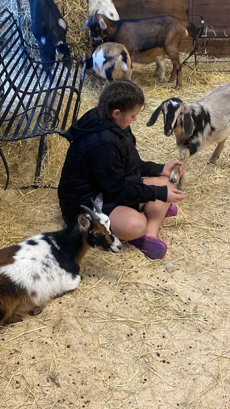 Hephzibah Farms — Hebron, Illinois