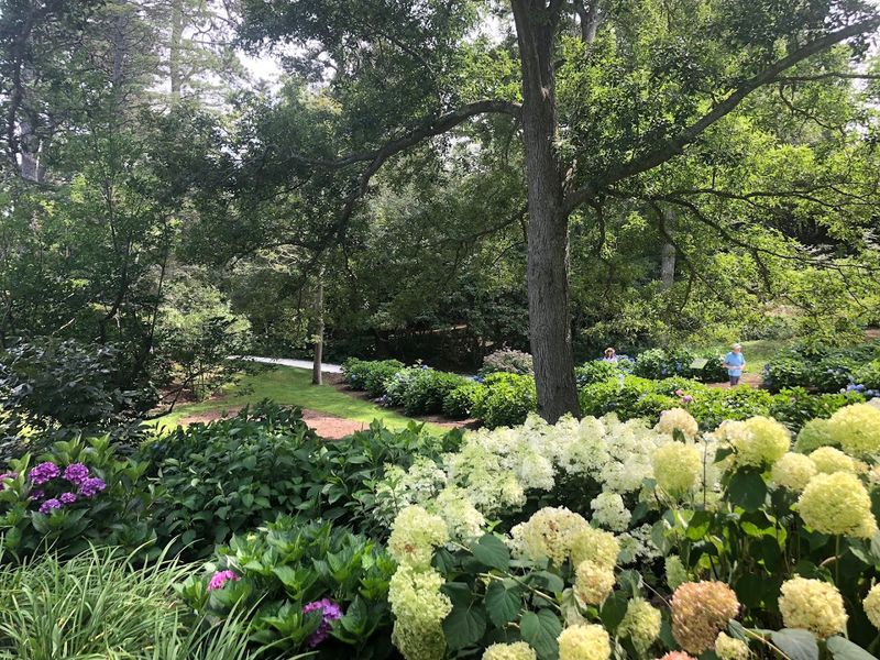 Heritage Museums and Gardens, Sandwich, Massachusetts