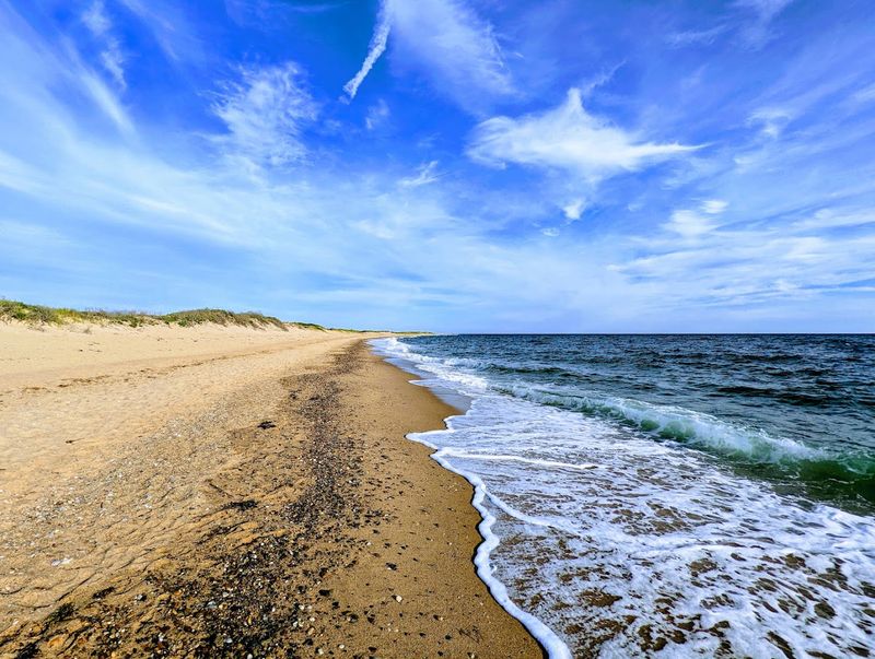 Herring Cove and the Broader Coastal Landscape Herring Cove and the Broader Coastal Landscape