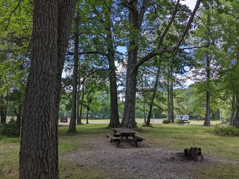 Hickory Run State Park Campground, White Haven, Pennsylvania Hickory Run State Park Campground, White Haven, Pennsylvania