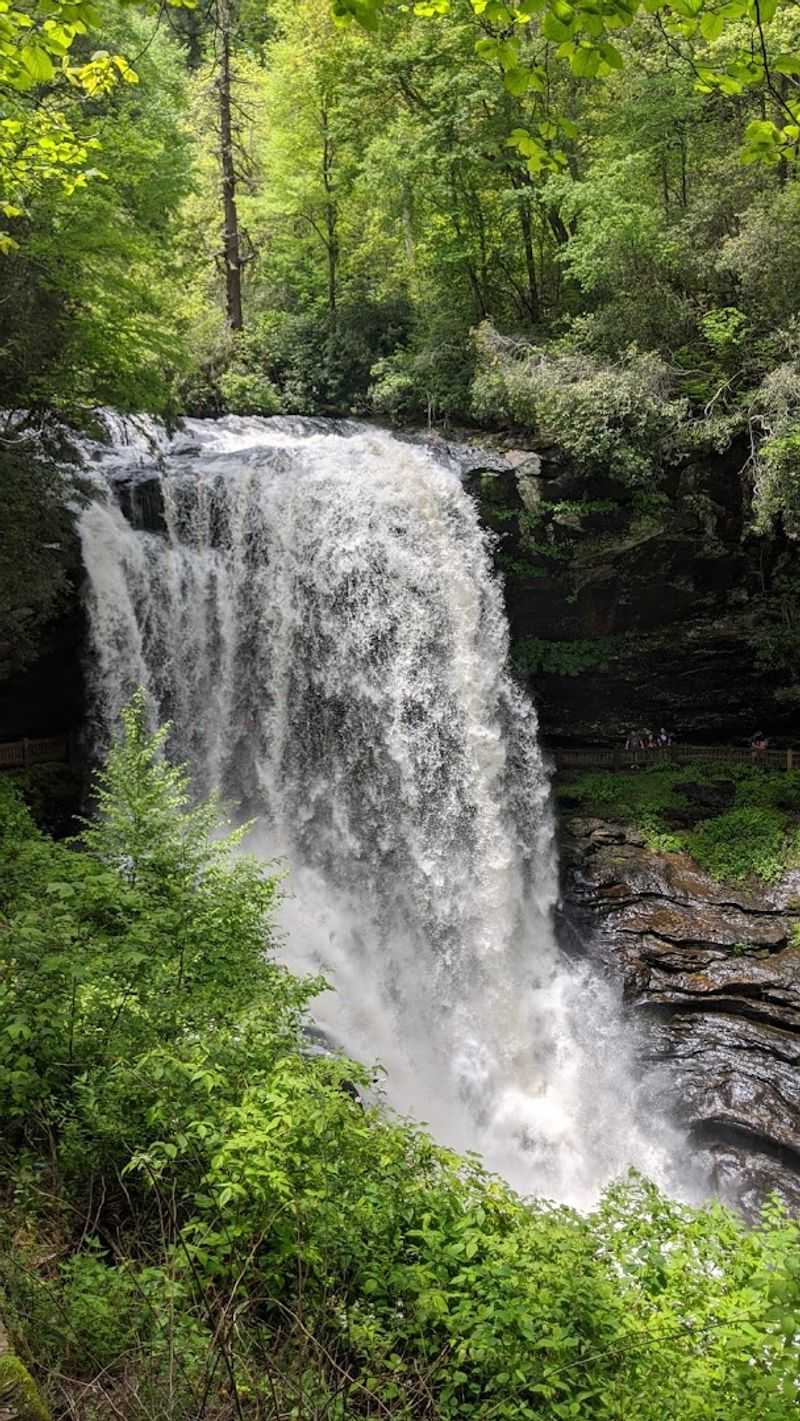 Hidden Waterfalls Worth Every Step of the Hike Hidden Waterfalls Worth Every Step of the Hike