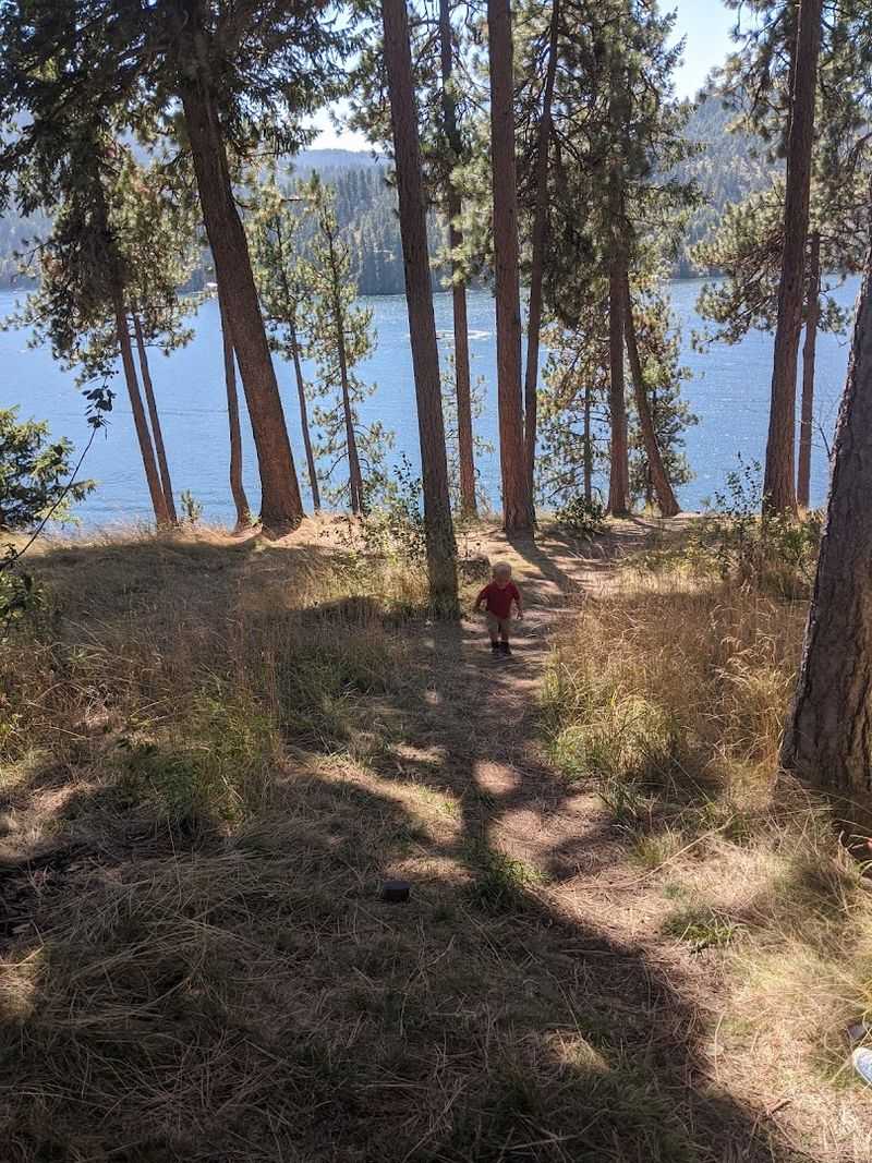 Higgens Point: The Forested Tip That Reaches Into the Lake